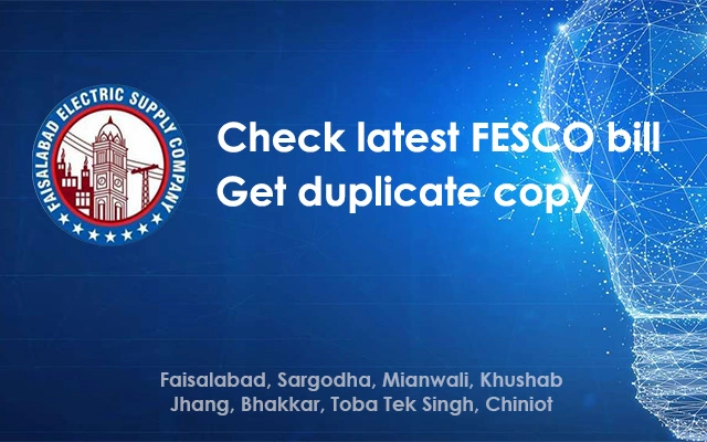 Bill Check FESCO  Fast and Simple Way to View Your Electricity Bill Online