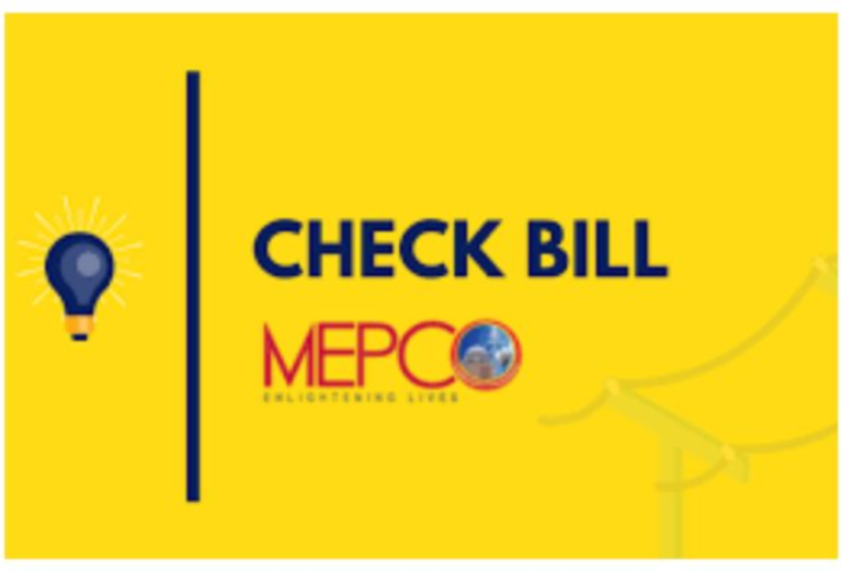 How to Use the Online Bill Check Multan Service